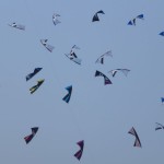 Festival du Cerf-Volant - Figure avec 25 cerf-volants ! (IMG_4589)