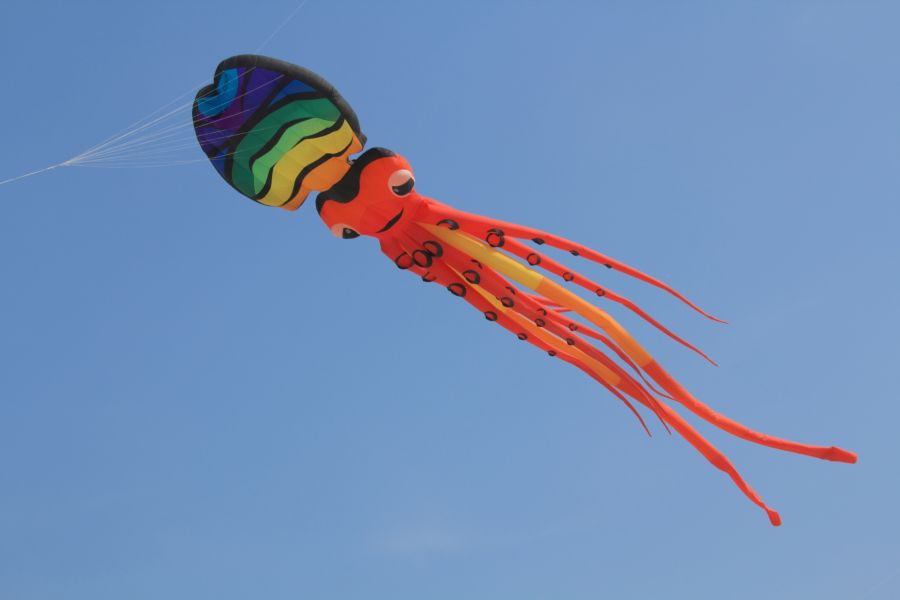 Festival du Cerf-Volant - pieuvre volante (IMG_4533).jpg
